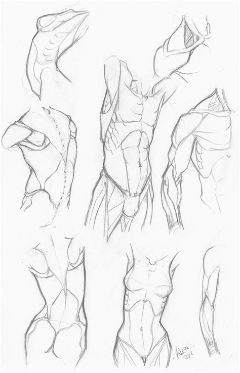 Poses For Drawing Male Body