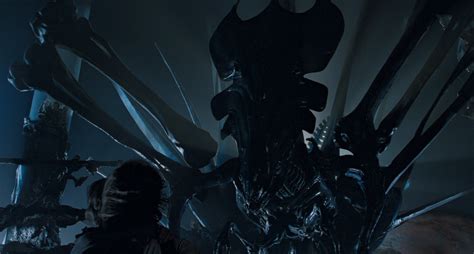 ‘alien Every Stage In The Xenomorphs Gruesome Life Cycle Indiewire