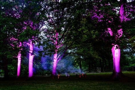 San diego events lighting is an event lighting company that services san diego and the surrounding areas. Lighting for trees - wedding lights | Wall wash lighting ...