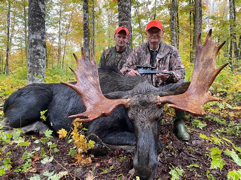 Moose Hunting Maine Pistol Kill Lodge Tag Canoe The Wild