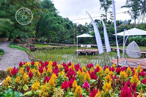 Tempat wisata di sekitar ciampea bogor. 5 Tempat Wisata Alam di Sekitar Kopi Tubing Bogor