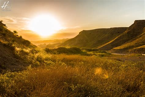 Nature iraq is constantly organising training and education programs including workshops in plant and bird identification, scientific report writing and computer applications for data management. Iraqi Kurdistan: Landscapes & Nature - Hans van Eijsden ...