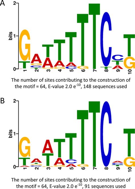 meme analysis of motifs identified in the chipseq peaks a motif download scientific diagram
