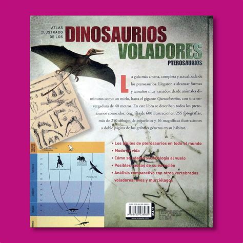 Atlas Ilustrado De Los Dinosaurios Voladores Pterosauros Gran Outlet