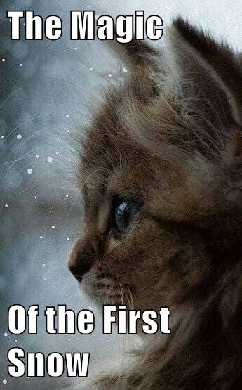 The Magic Of the First Snow - Lolcats - lol | cat memes ... Search, discover and share your favorite let it snow gifs.