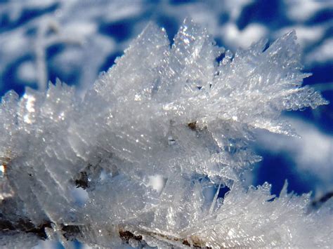 44 Ice Crystal Wallpaper Wallpapersafari