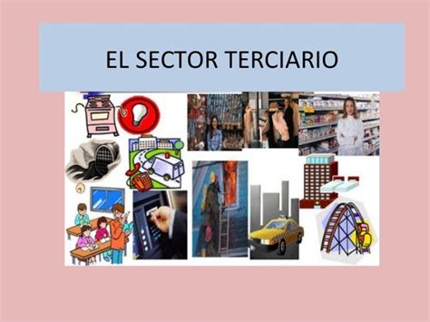 Cartel Del Sector Terciario Historia De Mèxico