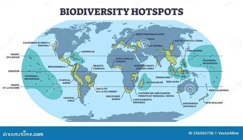 Biodiversity Hotspots With Life Species Variety On World Map Outline