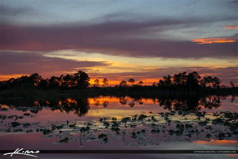 Martin County Florida Lake Pine Forest Sunset Hdr Photography By