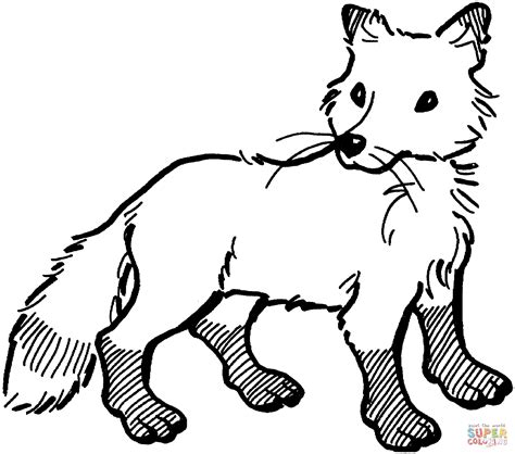 Free Foxes Coloring Pages Download Free Foxes Coloring Pages Png