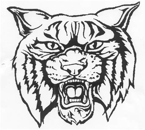 Wildcat Logo Coloring Page Sketch Coloring Page Images And Photos Finder