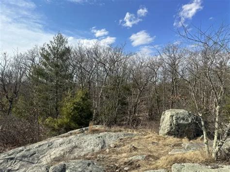 Best Hikes And Trails In Wrentham State Forest Alltrails