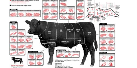 beef sizes and cuts dsr cattle