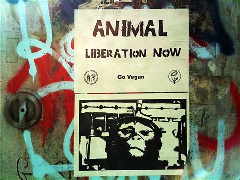Animal Liberation Front | Flickr - Photo Sharing!