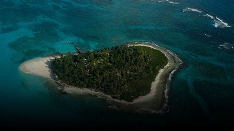 Piden Declarar Alerta Roja Ambiental En San Andrés Por Pérdida De Tejido De Coral