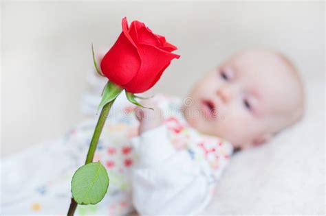 Cute Baby Girl Holding A Bouquet Of Flowers Rose Stock Image Image Of