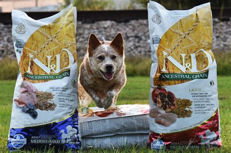A cut of meat, also the name of a beloved puppet. Italian pet food maker chooses North Carolina for US ...