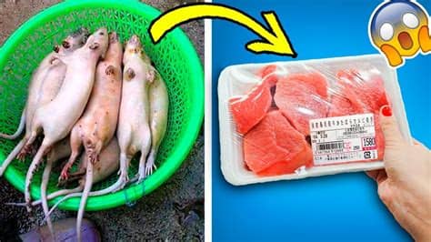 10 Alimentos que No volverás a Comer Luego de Ver Esto ...
