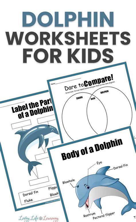 Flip Book Activities Ocean Activities Learning Activities Toddler