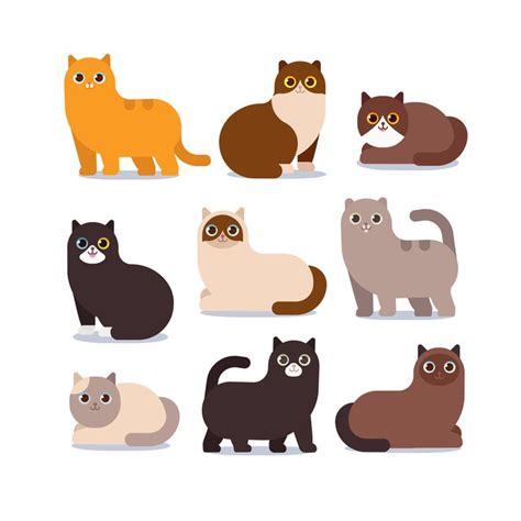 Set Different Cartoon Cats Illustration Isolated Vector Character