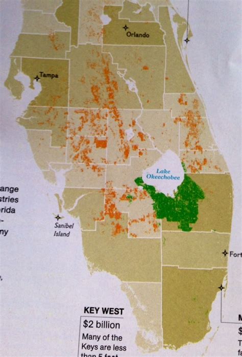 State And County Maps Of Florida Where Are Oranges Grown In Florida