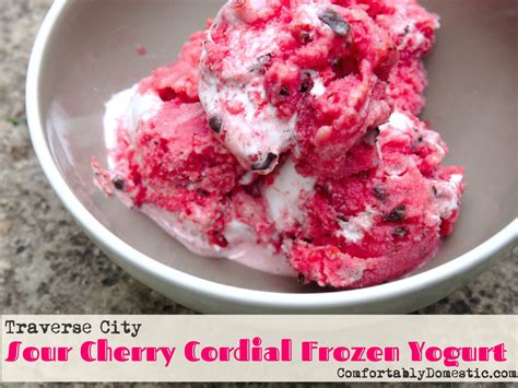 Sour Cherry Cordial Frozen Yogurt Comfortably Domestic