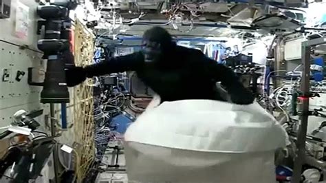 [watch] Astronaut Scott Kelly Terrified Space Crew By Disguising Himself As A Gorilla
