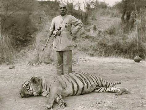 Bengal Tiger Hunting