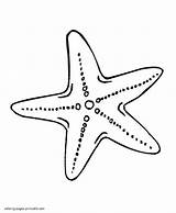 Sea Coloring Star Drawing Printable Starfish Animal Animals Fish Colouring Patrick Sheets Stars Di Invertebrates Da Cartoon Ocean Colorare Getdrawings sketch template