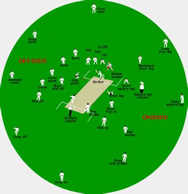 His sole duty is to act as a substitute fielder. Worldcup Cricket & IPL information - Live: Photo Gallery