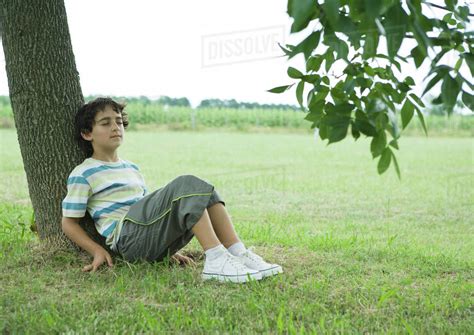 Boy Sitting On Ground Leaning Against Tree Trunk Stock Photo Dissolve