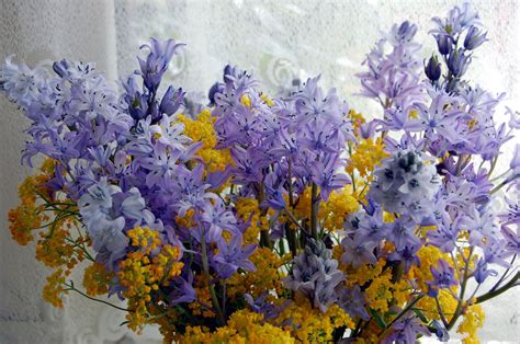 Amaryllis is the best beautiful aesthetic lily flower name for your shop. purple and yellow | Lavender aesthetic, Violet aesthetic ...