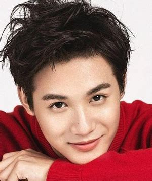 Afterall, he was still one of the more respected elders of the clan and ye zifeng should not be able to defy him. Zheng Ye Cheng - DramaWiki