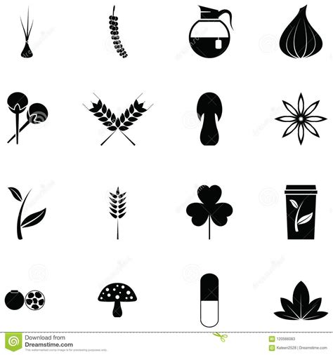 Herb Icon Set Stock Vector Illustration Of Food Spices 120566083