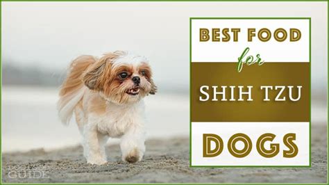 With the recommendations listed above. 10 Best (Affordable) Dog Foods for Shih Tzus in 2020
