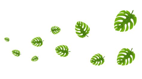 Bingkai daun hijau semua jenis daun hijau daun daun maple cabang png pngwing. 10 Gambar Daun Vektor PNG Gratis Untuk Desain Vektor Anda