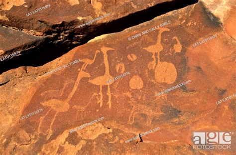 Circa 3000 Bc Petroglyph Cave Paintings Twyfelfontein Animal Images