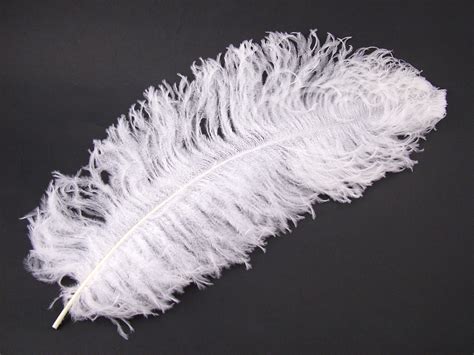 Download Extra Long Premium Ostrich feather over 25″ - Jaffe