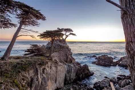 Lone Cypress Tree View At Sunset Along Famous 17 Mile Drive Monterey