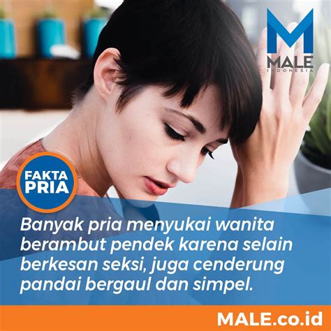 Pin On Fakta Pria Male Indonesia