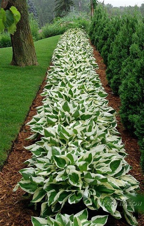 Browse landscapes get ideas for your yard backyards front yards. 22 Amazing Backyard Landscaping Design Ideas On A Budget ...