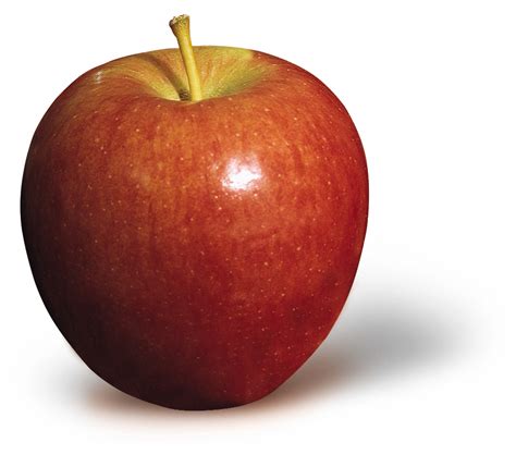 Apples Varieties For All Occasions | Louisiana Kitchen & Culture