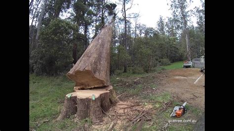 Maybe you would like to learn more about one of these? "Tree Removal" jobs of 2013 - YouTube