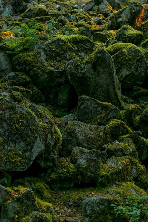 Rocky Cliff Slope Covered With Moss · Free Stock Photo