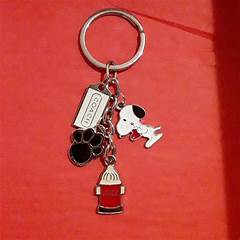 Coach Key Fob