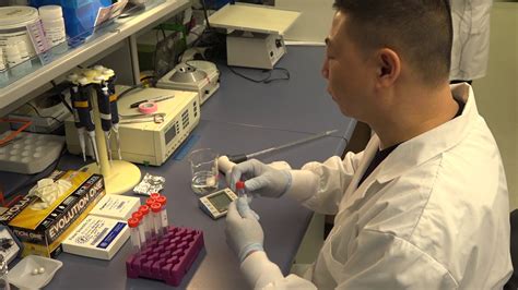 Hair Sample Analysis Video - YouTube