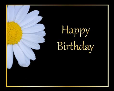Daisy Flower Birthday Card Free Stock Photo Public Domain Pictures