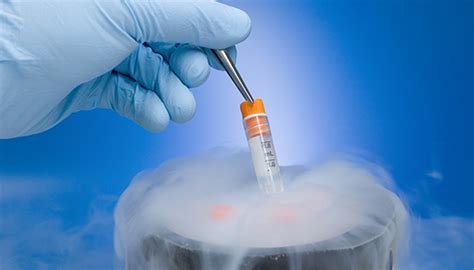 Freezing Embryos Johns Hopkins Medicine