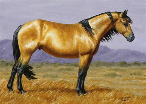 Buckskin Mustang Stallion Painting by Crista Forest