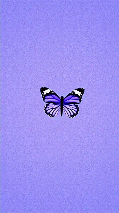 Purple Butterfly Papel De Parede Lilás Papel De Parede Roxo Papel De Parede Bonito Para Iphone